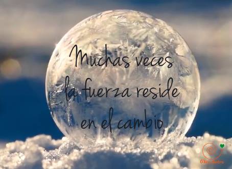 15268044_1199503956761933_3052987602005619612_n