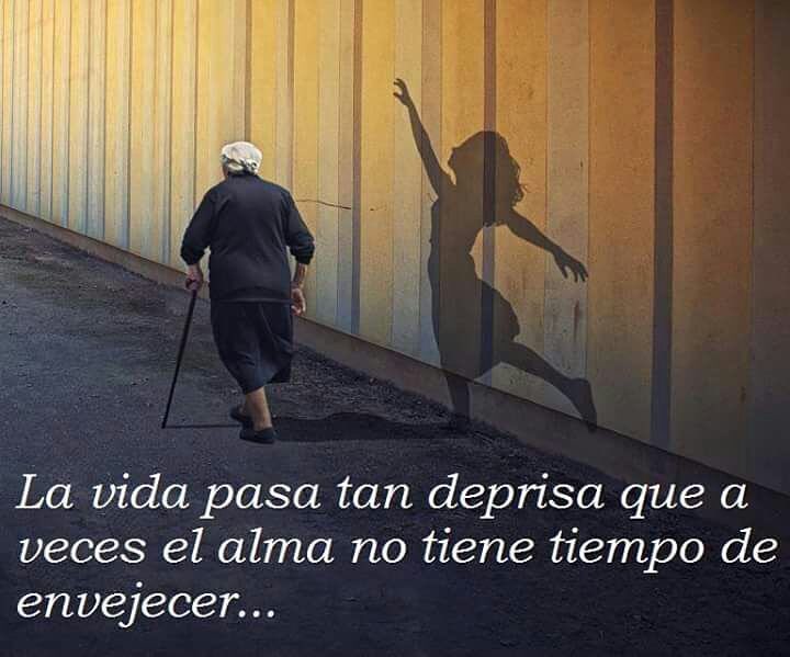 15976957_1242354659143529_1676521817930870414_n