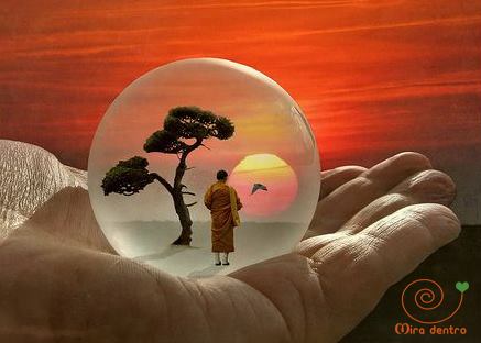 16708228_1281971198515208_7897254500388801491_n